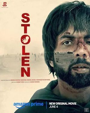 Stolen 2025 Hindi WEB-DL 720p - 480p - 1080p